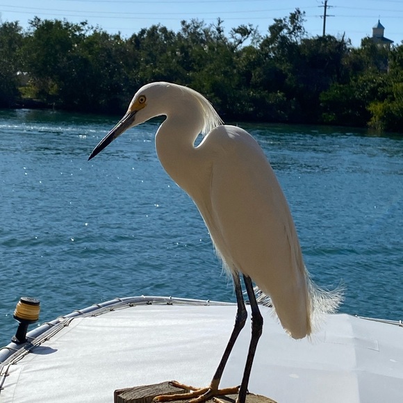 Meet your Posher, Stephanie - Picture 5 of 5